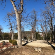 Level gravel RV site with full hook-ups at Branson Shenanigans RV Park