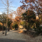 Level gravel RV site with full hook-ups at Branson Shenanigans RV Park