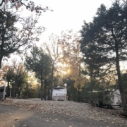 Level gravel RV site with full hook-ups at Branson Shenanigans RV Park