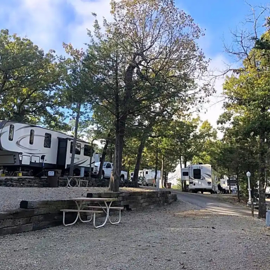 Leashed dog relaxing at a wooded campsite at Branson Shenanigans RV Park
